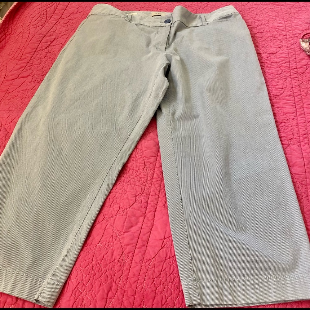 LOFT curvy fit crop. Small blue and white thin pinstripes. Great condition. 14